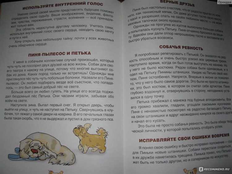 Лучшие книги о доброте и дружбе для детей