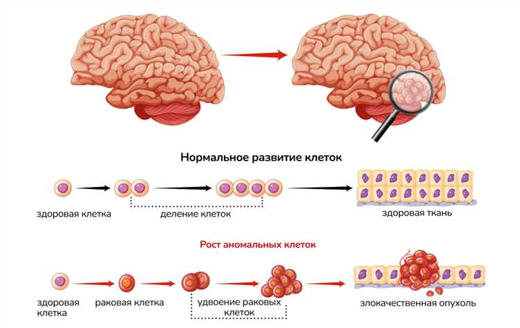 Пластичность мозга детей и ее причины
