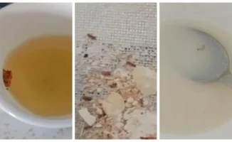 В Талдыкоргане родители нашли насекомых в еде детского сада