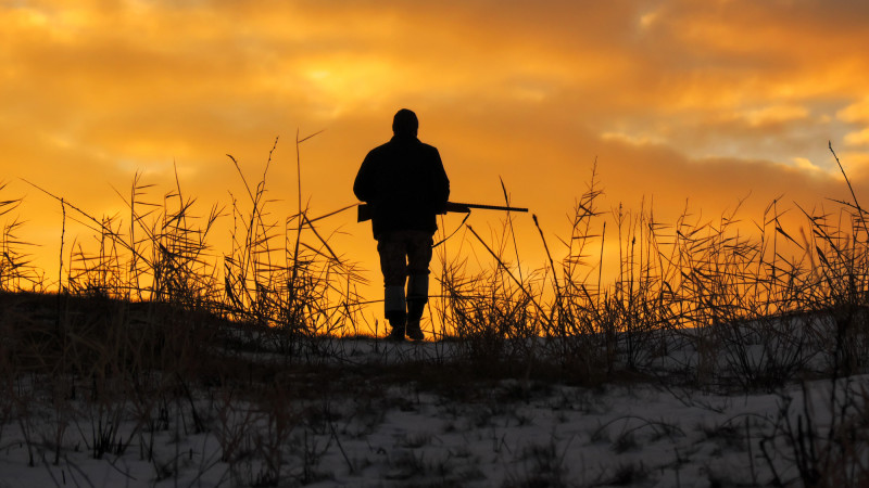 Ночной выстрел: трагедия на охоте в Жамбылской области