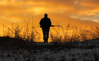 Ночной выстрел: трагедия на охоте в Жамбылской области