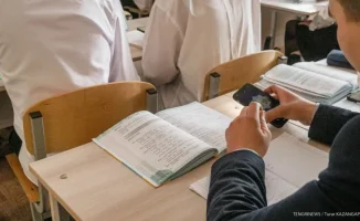 Казахстан: Школы Абай и Восточно-Казахстанской области частично на удаленке из-за заболеваний