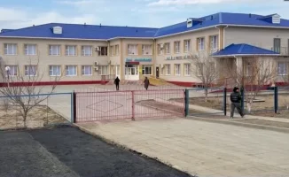 Мышиная армия захватила села: школы и детсады под осадой грызунов