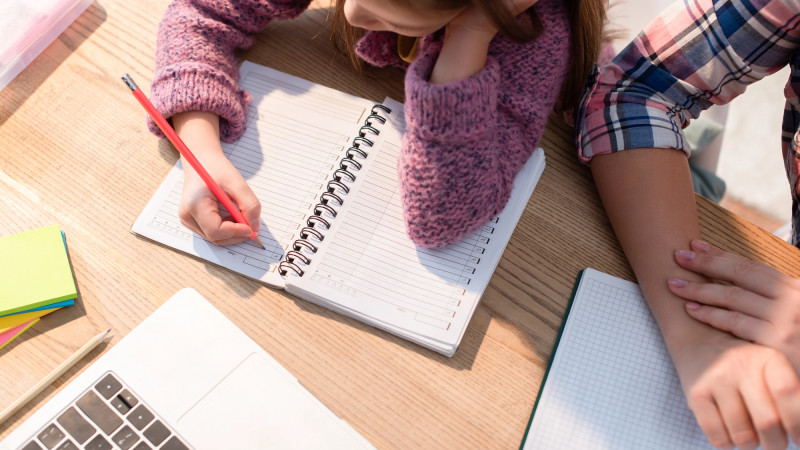 Костанай переходит на дистанционное обучение из-за ухудшения эпидситуации