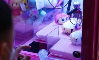 Сенатор предлагает ограничения на детские игровые автоматы типа 'Кран'