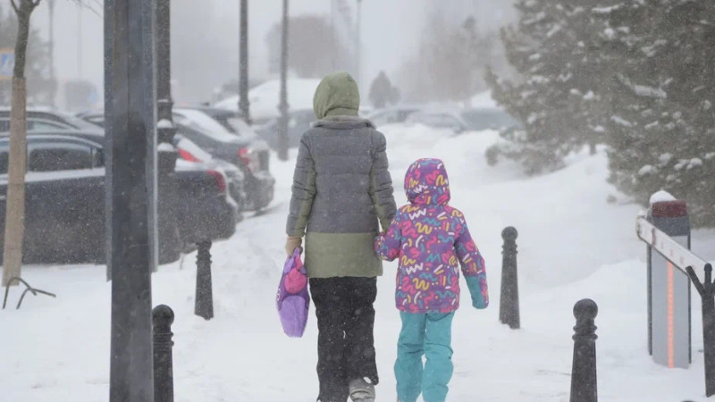 Дистанционное обучение на севере Казахстана: как это повлияет на учебный процесс и успеваемость студентов?
