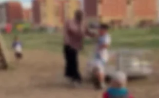 Детская площадка: угроза или защита? Суд решил судьбу!