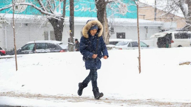 Часть школьников Астаны перейдут на дистанционное обучение 13 февраля