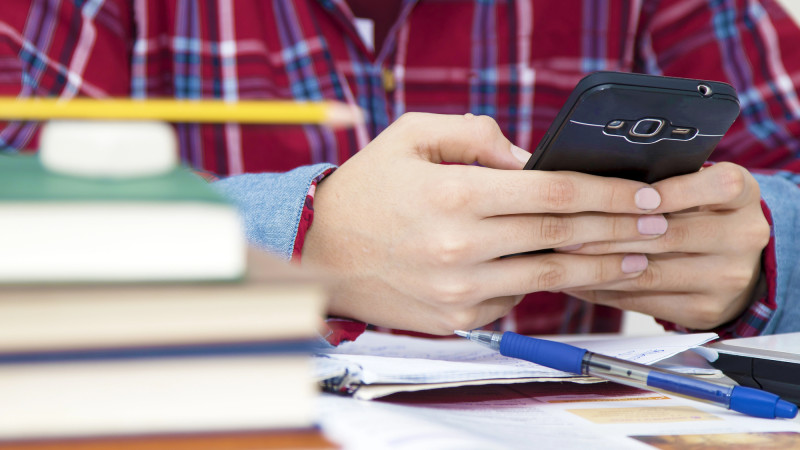 Лабиринт записей: Родители школьников нашли расхождения в eGov