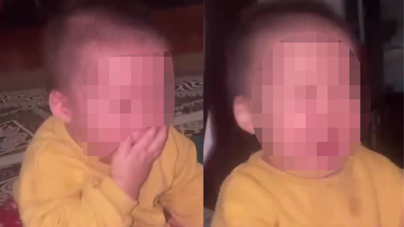 МВД Казахстана подтвердило отсутствие учета семьи после резонансного видео о насилии над ребенком в Таразе