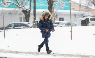 Часть школьников Астаны перейдут на дистанционное обучение 13 февраля