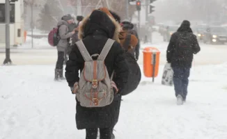 Зимние испытания: мороз и гололёд унесли младшие классы в онлайн-мир