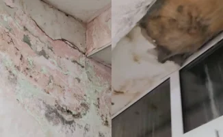 Плесень и треснувшие окна в детской больнице Темиртау