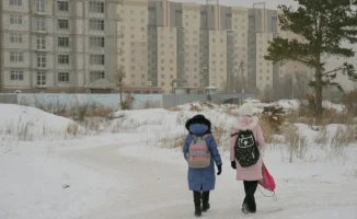 Ученики второй смены в Астане и Семее переведены на дистанционное обучение из-за мороза