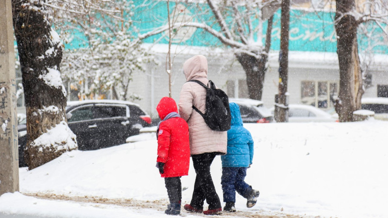 Астанинские ученики: уроки из дома под крышей зимнего уюта 27 февраля