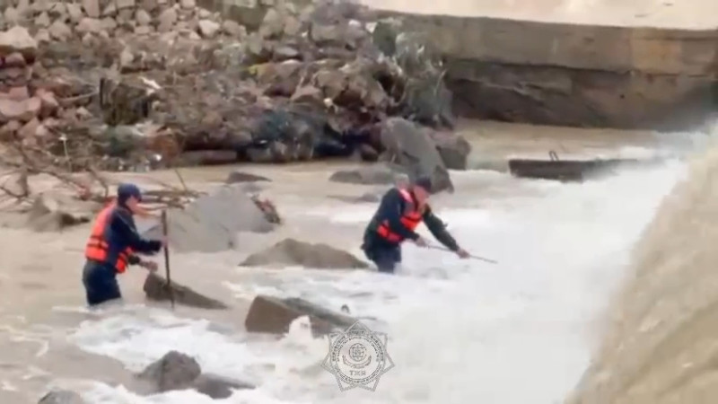 На весеннем ветру: поиски сердца, унесенного рекой в Келесском районе