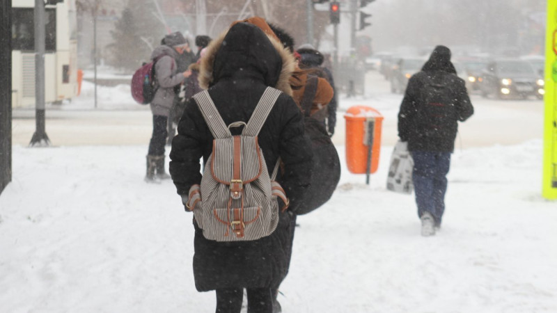 Лишь дистанционное обучение спасёт астанчан от непогоды: школьников и студентов колледжей перевели на онлайн-формат