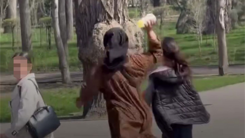 Балование улиц: Алматы в плену детской агрессии и каменных морозов