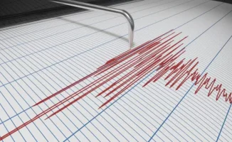 Серия землетрясений, лекарство от рака и авария со школьным автобусом. Главные новости за 31 марта