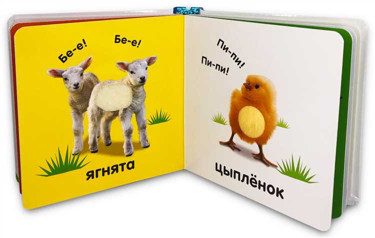 Лучшие детские книги с тактильными элементами